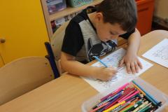 IMG_2961-Copy