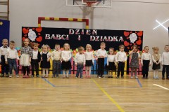 DzB-12