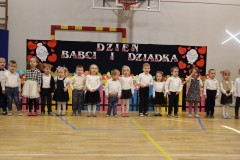 DzB-13