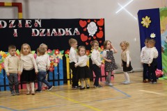 DzB-20