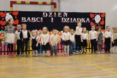 DzB-24