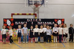 DzB-28