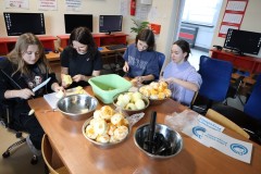 laboratoria-3