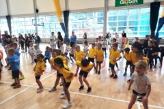 6-Copy