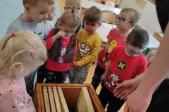 IMG_20211029_110536-Copy