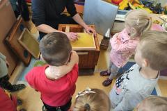 IMG_20211029_110654-Copy