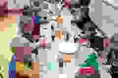 46