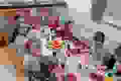 48